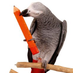 Reduced Northern Parrot Chewable Foot Toy Parrot Toy Kit