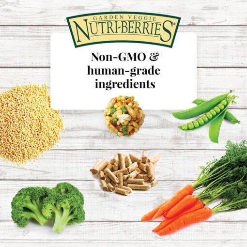 Lafeber NutriBerries Garden Veggie 1.36kg Complete Parrot Food