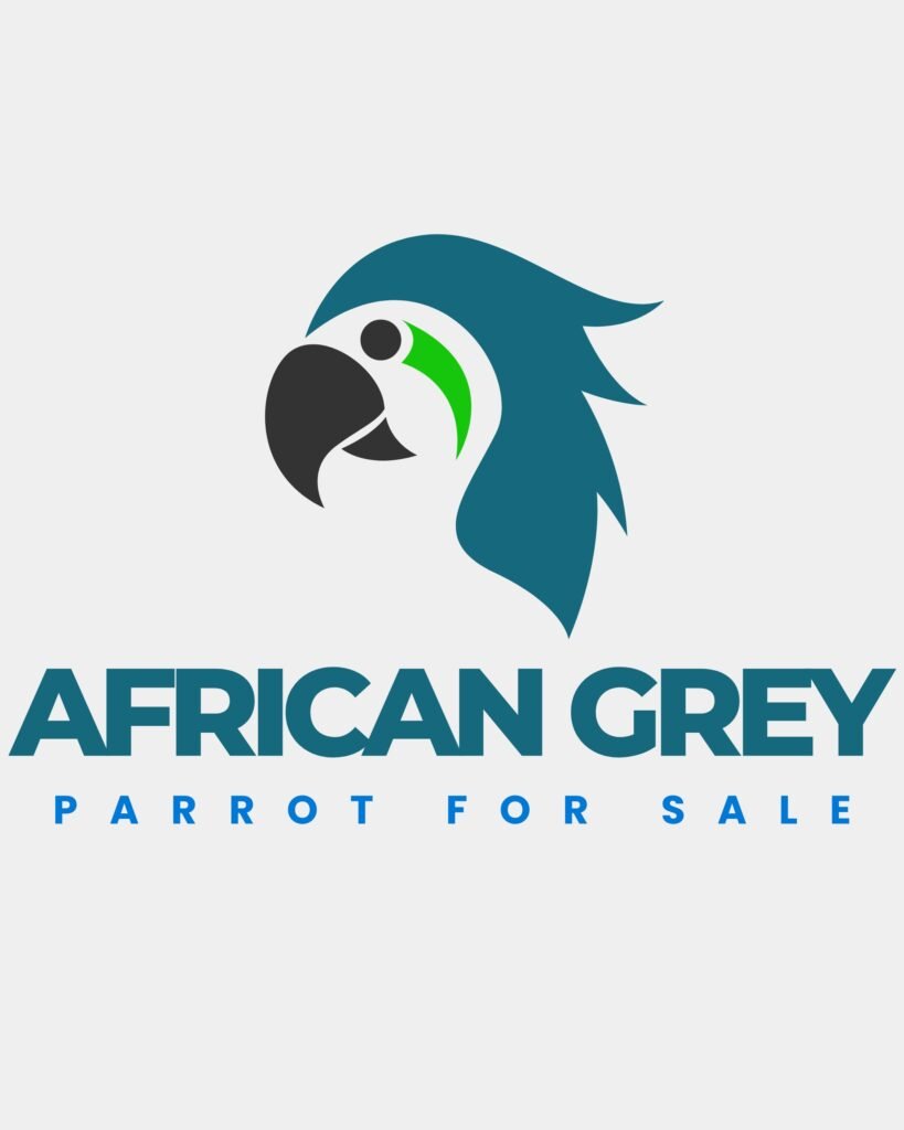 African Grey Parrot For Sale