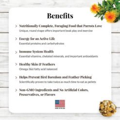 Lafeber NutriBerries Complete Parrot Food Pack of 4