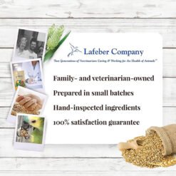 Lafeber NutriBerries Complete Parrot Food Pack of 4
