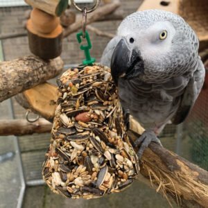 Parrot Food| What Can Parrots Eat?